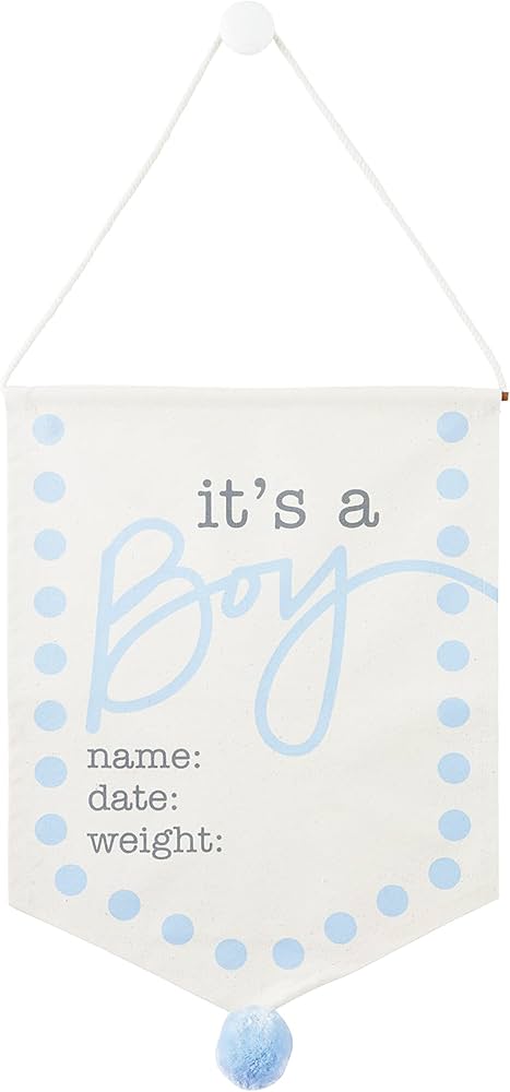 Baby Boy Canvas Sign