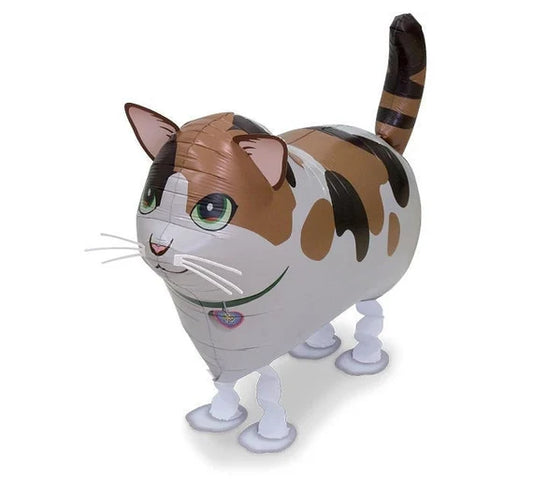 Calico Cat Pet