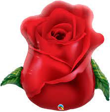Red Rose Bud