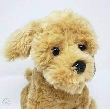 Plush Labradoodle