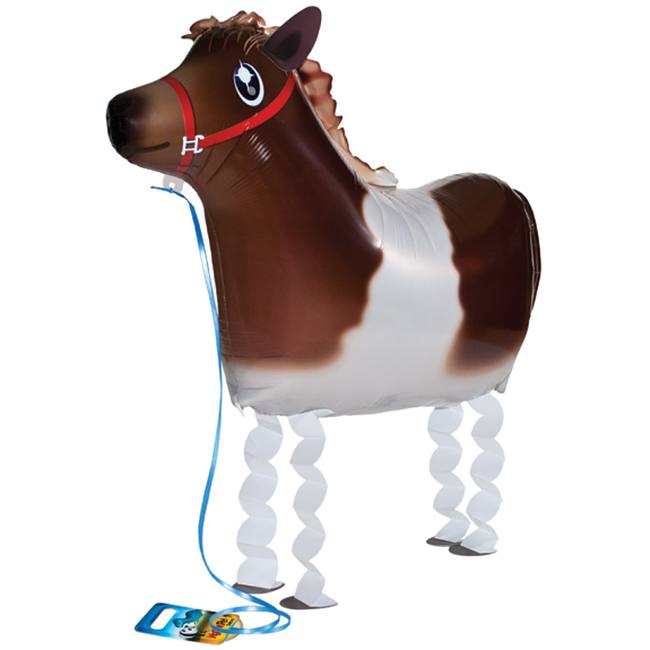 Pony Pet