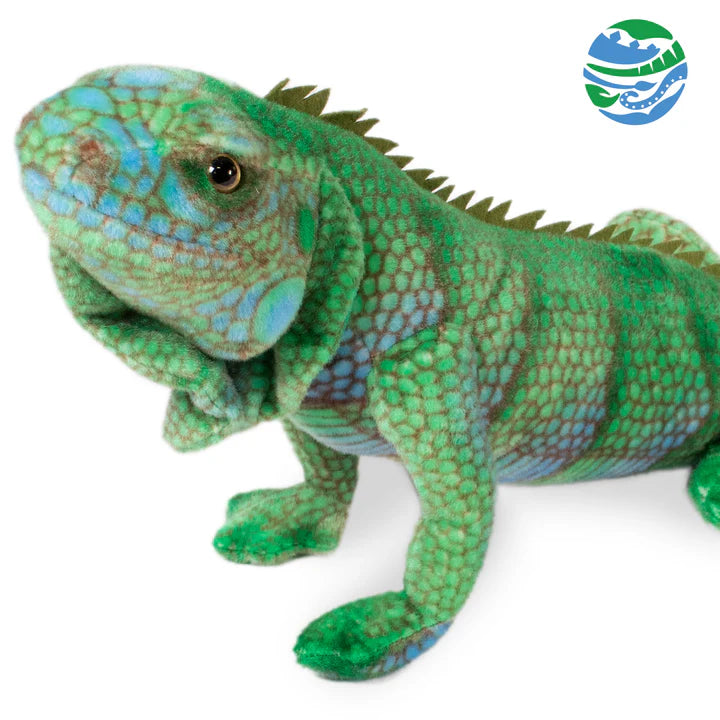 Iguana Green