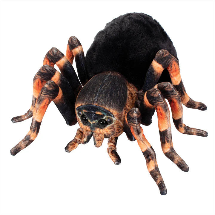 Furry Tarantula