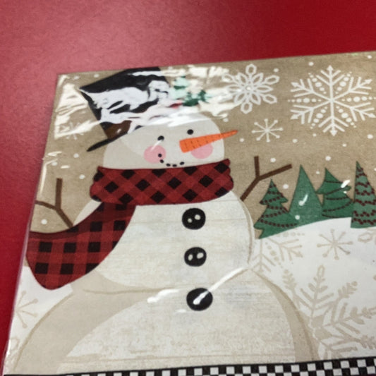 Winter Wonder Napkins
