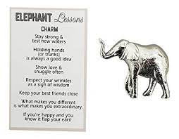 Elephant Lessons Charm