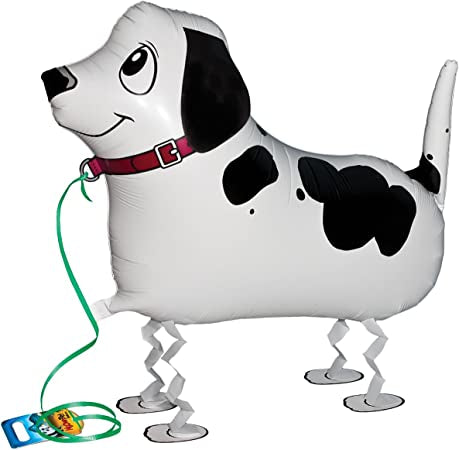 Pointer Pet