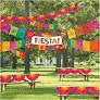 Fiesta Giant Indoor/Outdoor Kit