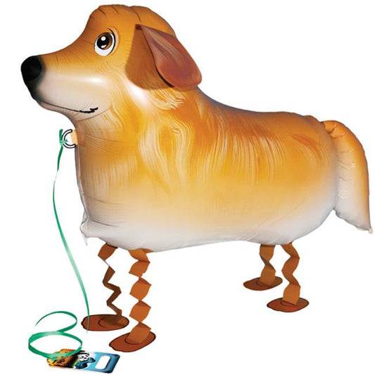 Golden Retriever Pet
