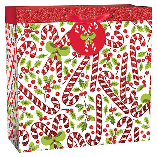 Candy Cand Gift Bag