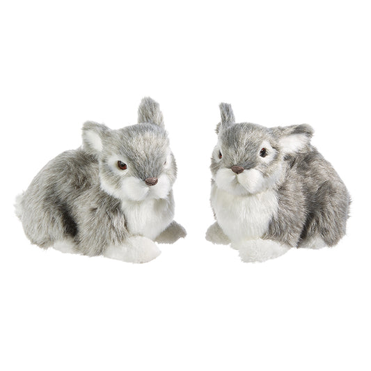 Small grey and white rabbit