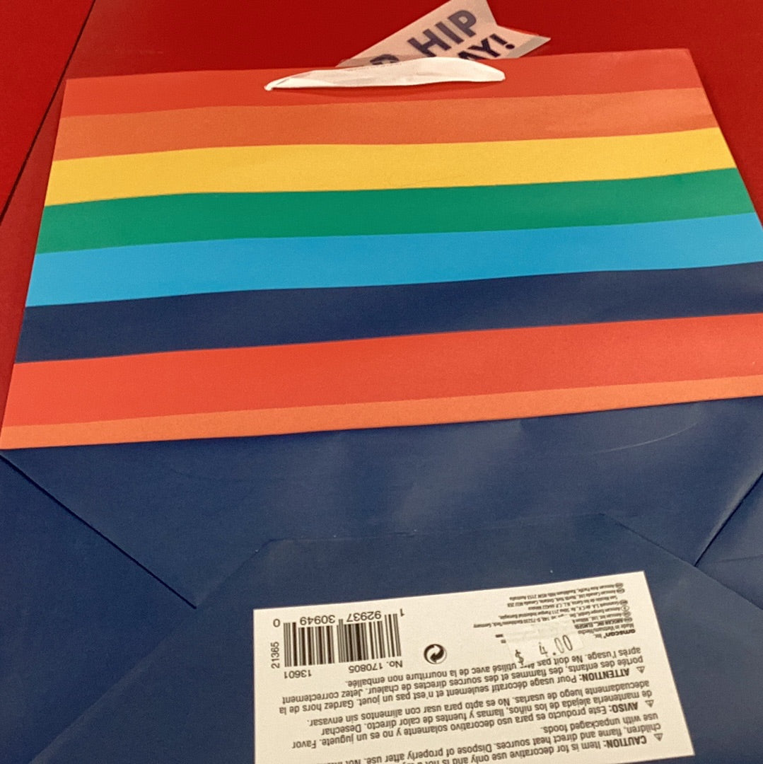 Rainbow Stripe Large Gift Bag